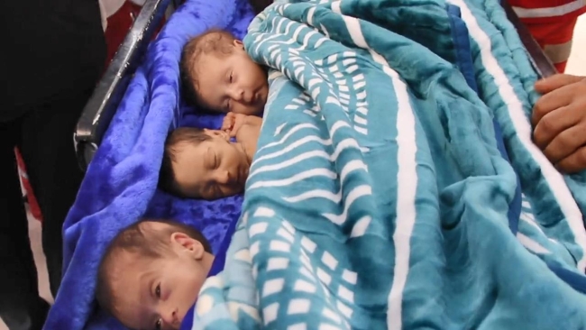 DSÖ: Şifa hastanesinden 28 bebek Mısır'a nakledildi