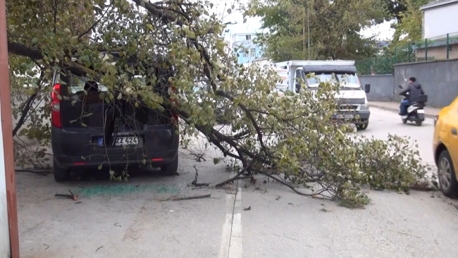 Bursa'da 14 katlı inşaatın duvarı yıkıldı