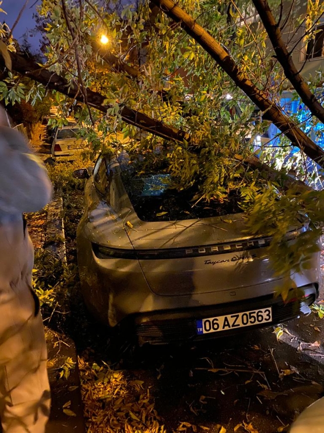 Lüks otomobilin üzerine ağaç devrildi