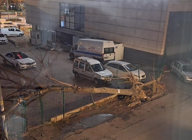 Fırtına Bursa'yı yıktı geçti