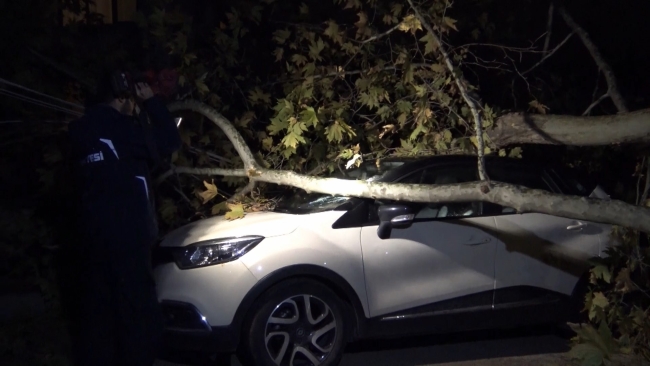 Bursa'da ağaç ve elektrik direği araçların üzerine devrildi