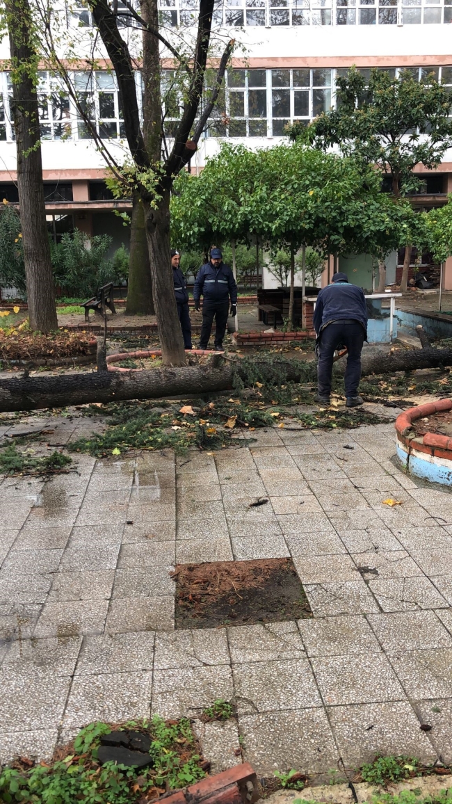 Osmangazi'de lodosun izleri siliniyor