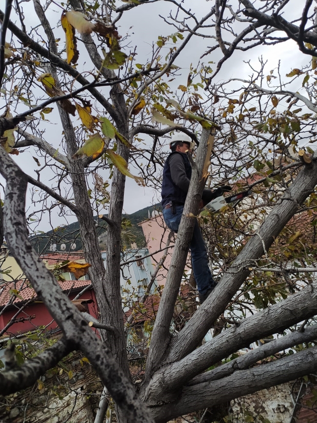 Osmangazi'de lodosun izleri siliniyor