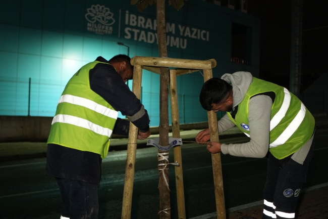 Bursa’da manolya zamanı