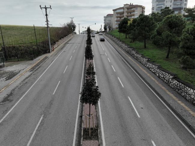 Bursa’da manolya zamanı