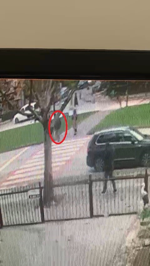 Bursa'da yaya geçidinde ölümüne sürdü! Yaya böyle havalandı