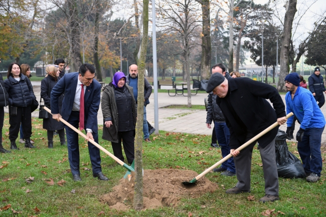 Lodos yıktı, Osmangazi yeşertiyor