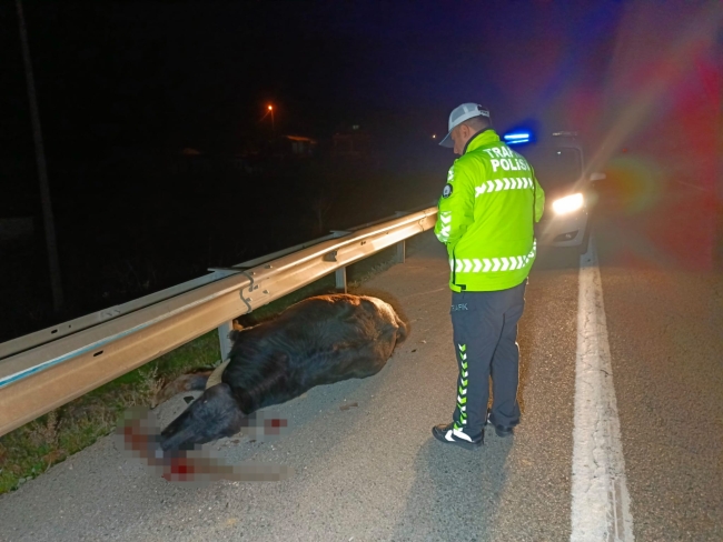 Bursa'da araç hurdaya döndü! Manda yaralandı