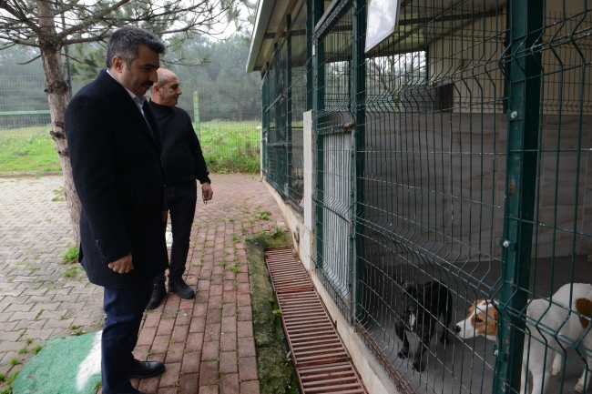 Yıldırım'da binlerce can dostu yuvaya kavuştu