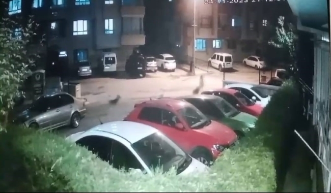 Sokak köpeği dehşeti! Kucağındaki çocuğuyla yere düştü