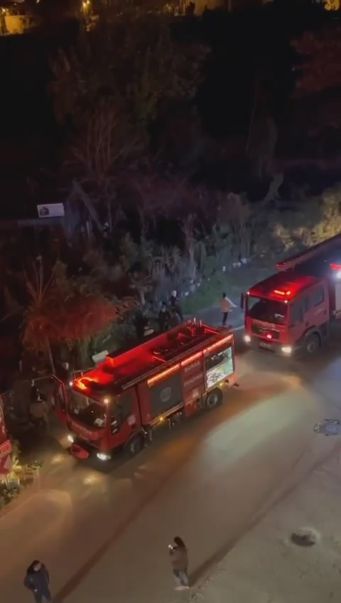 Bursa'da bir çiftlik alevlere teslim oldu