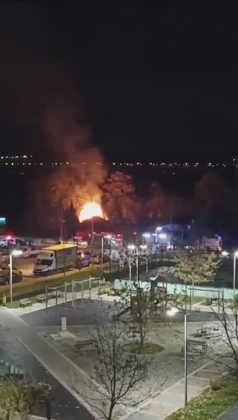 Bursa'da bir çiftlik alevlere teslim oldu