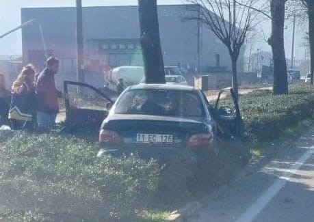Ağaca çarpan sürücü hastanelik oldu!