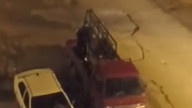 Sokak köpekleri korku dolu anlar yaşattı!