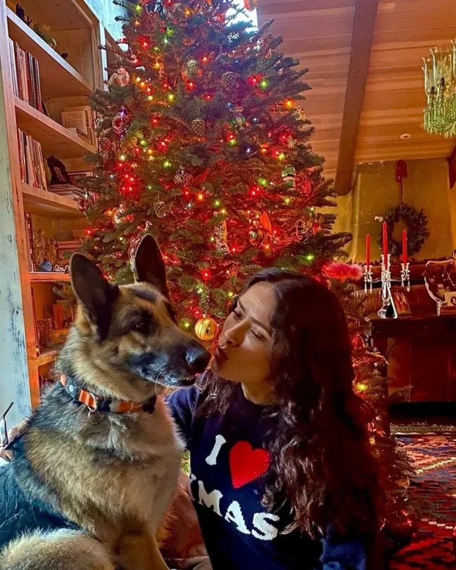 Ünlülerin Noel paylaşımları