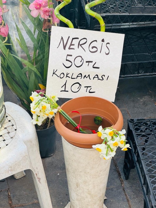 Bursa'da 10 liraya koklatılan nergis çiçeği günün konusu haline geldi