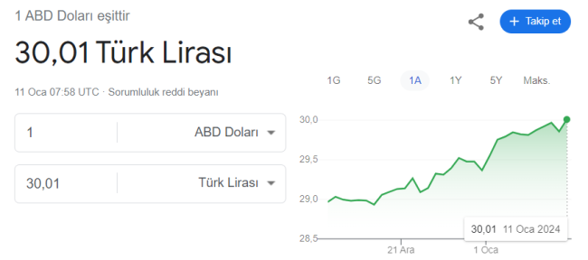 Dolar 30 lira oldu