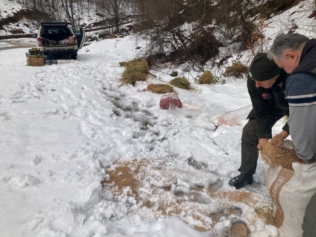 Bursa'da yaban hayvanlarına yem desteği