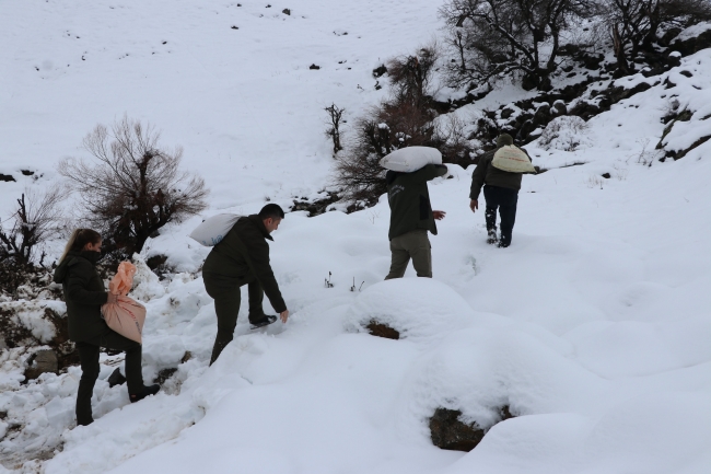 Siirt'te kar altındaki yaban hayvanlarına yem bırakıldı