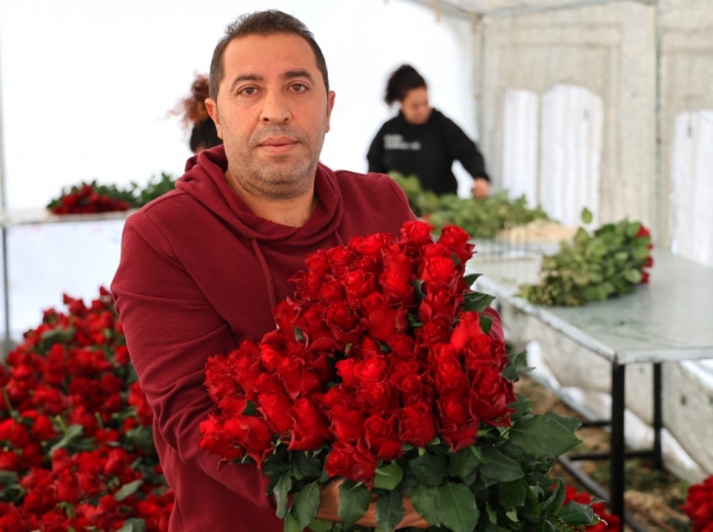 Adana'da gül üreticileri fiyatlardan memnun