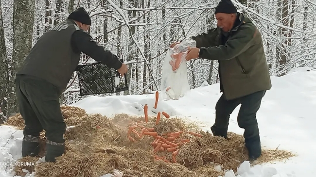 Bursa'da yaban hayvanları için doğaya yem bırakıldı