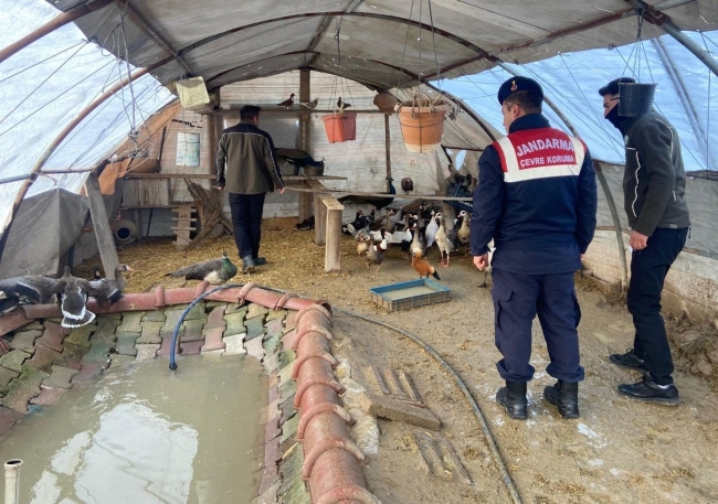 Aksaray'da yaban hayvanı ticaretine 78 bin 650 TL ceza