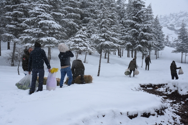 Şırnak’ta yaban hayvanları unutulmadı, doğaya yem bırakıldı