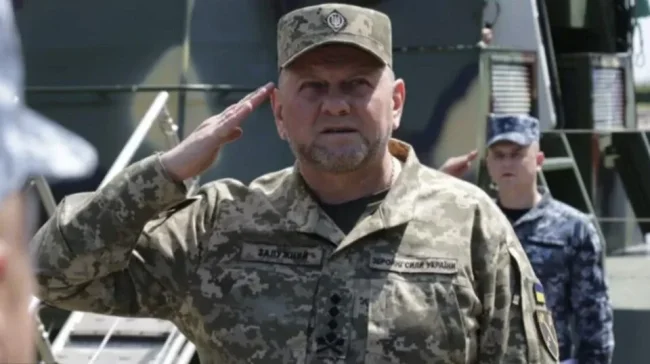 Ukrayna Genelkurmay Başkanı Zalujni görevden alındı
