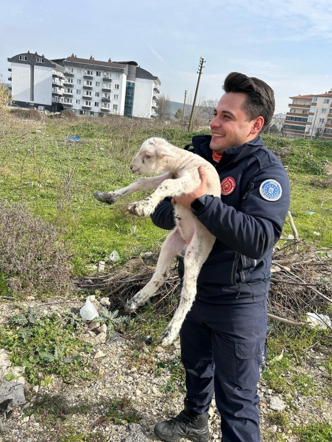 Kuyuya düşen kuzuyu Bursa itfaiyesi kurtardı