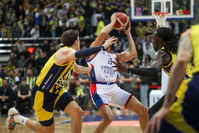 ING Türkiye Kupası'nı Fenerbahçe kazandı