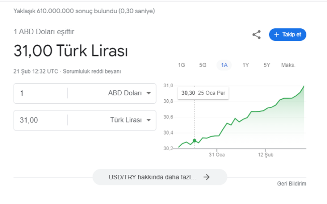 Dolar 31 lira oldu!