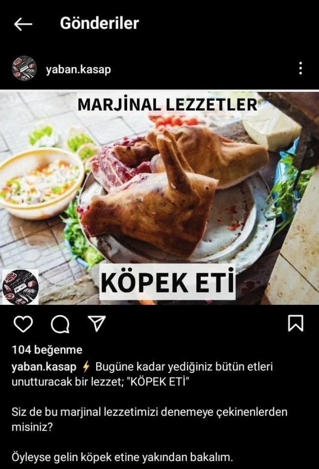 Bursa'da köpek eti satışı iddiasında gerçek ortaya çıktı