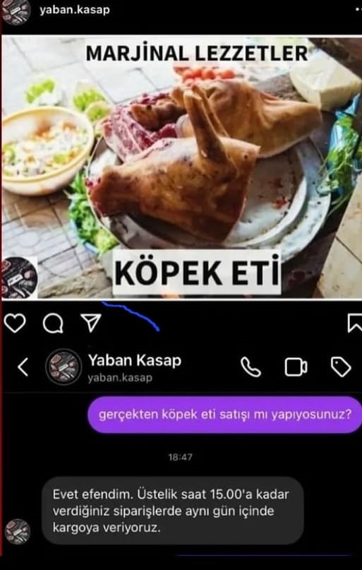 Bursa'da köpek eti satışı iddiasında gerçek ortaya çıktı