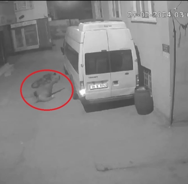 Bursa'da böyle hırsızlık görülmedi! Düşe kalka montu çaldı