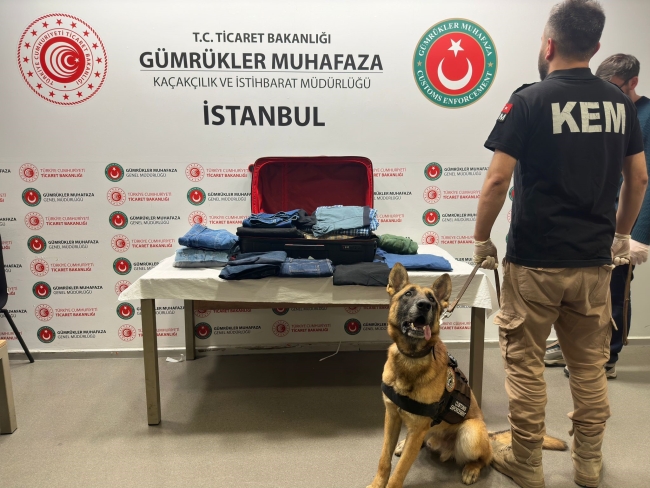 Gümrük Muhafaza ekipleri kaçakçılara geçit vermedi