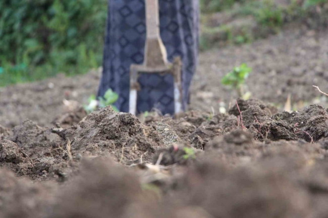Yeni nesil tarla işlerinden kaçıyor