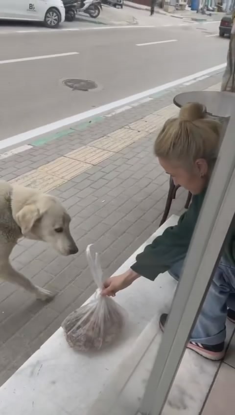 Bursa'da her gün dükkana gelen köpeği besleyen esnaf yüzleri gülümsetti