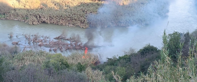 Asi Nehri sazlığında yangın