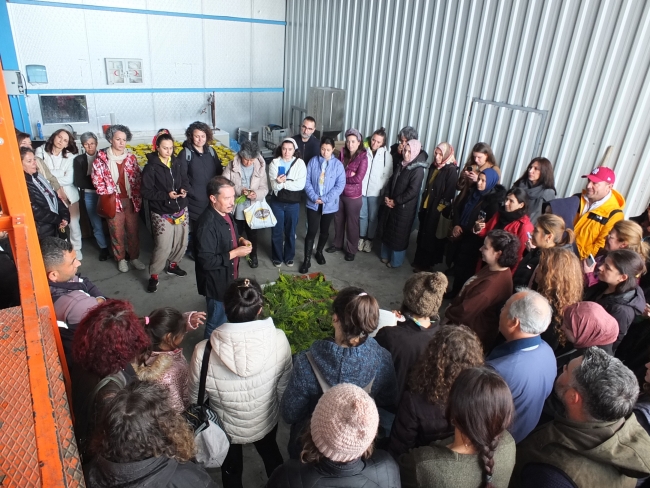 Aromatik bitki yetiştiriciliği kurslarına yoğun ilgi
