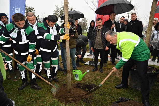 Kadınlar Günü’nde Erguvan Fidanları Toprakla Buluştu