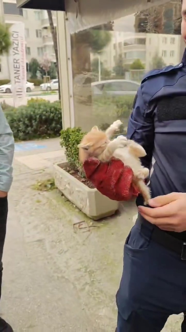 Bursa'da sıkışan yavru kedi kurtarıldı