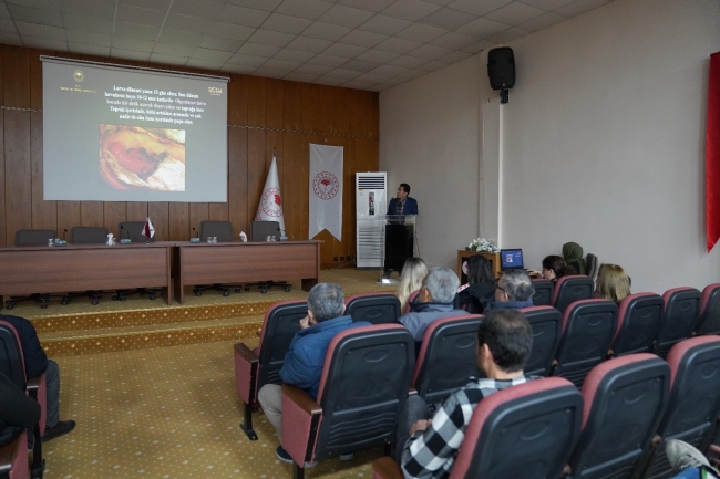 Pamukta Pembekurt zararlısına karşı üreticilere bilgilendirme