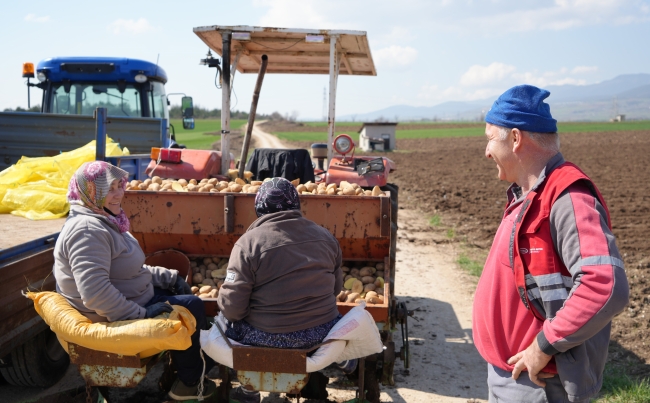 "Patates diyarı"nda çiftçiler ekim mesaisinde