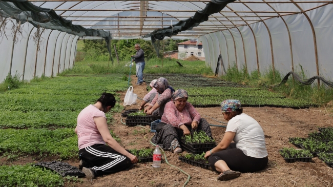 Kocaeli'de yüzde 75 hibeli tarım desteği