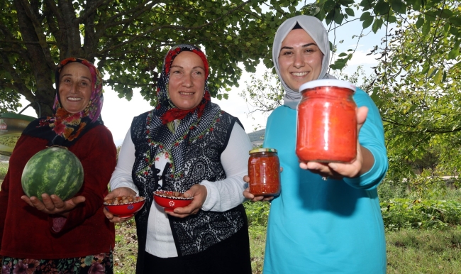 Kocaeli'de yüzde 75 hibeli tarım desteği