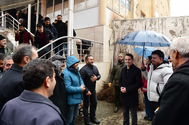 Çiftçilere ücretsiz kiraz ve vişne fidanı dağıtıldı