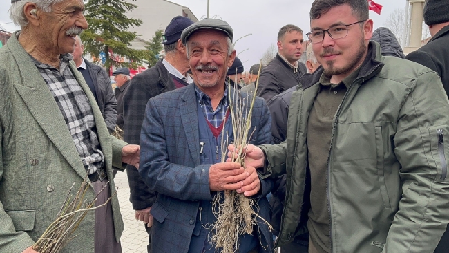 Kastamonu'da vatandaşlara fidan dağıtıldı