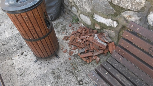 Bursa’da başıboş pitbull çocuklara saldırdı