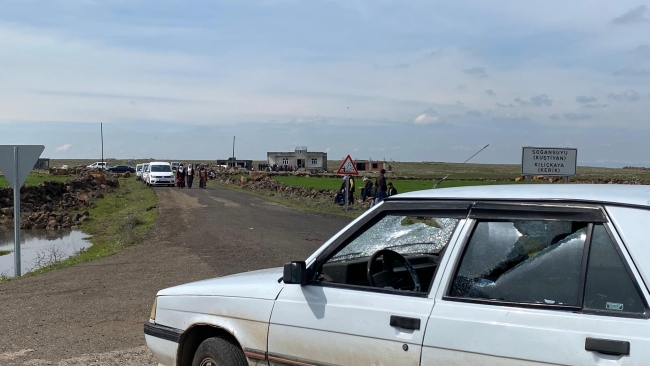Hayvanlar için yol verme kavgası: 3 yaralı