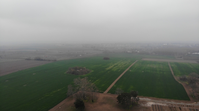 Yağışlar hem çiftçiye hem de Meriç Nehri’ne yaradı